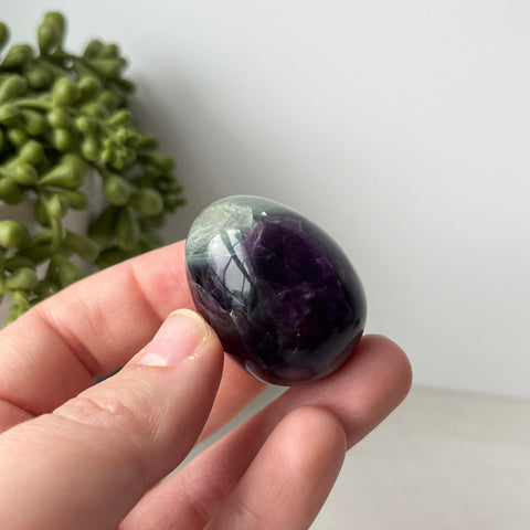 Rainbow Fluorite Egg