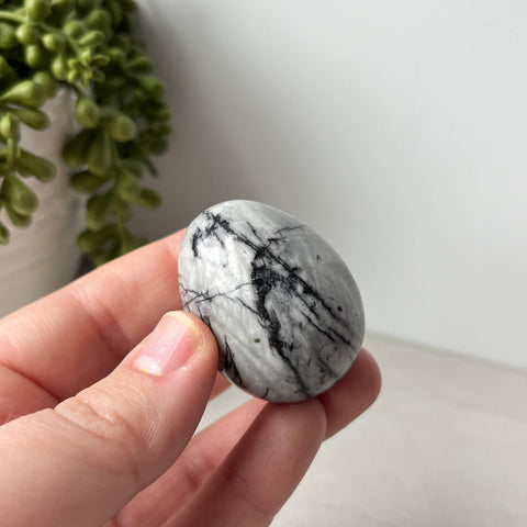 Spider Web Jasper Egg