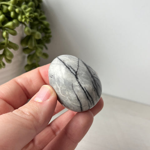 Spider Web Jasper Egg