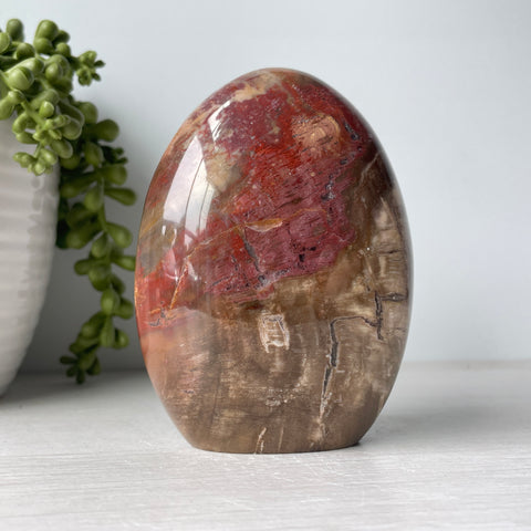 petrified wood free form