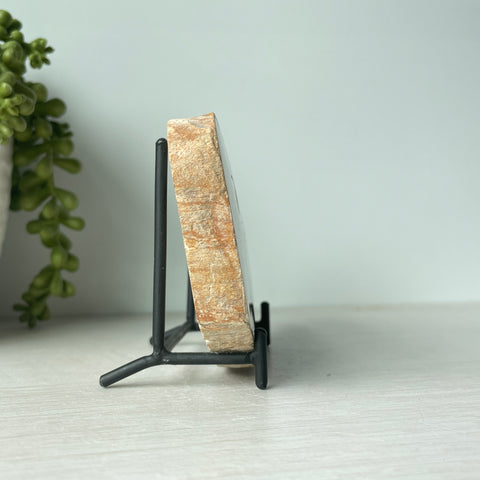 Petrified Wood Slab on Metal Stand