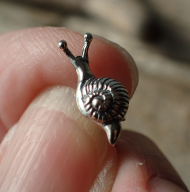 Sterling Silver Snail Stud Earrings