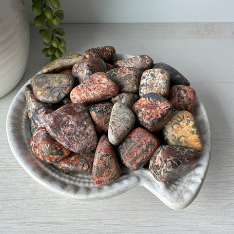 Leopard Skin Jasper Tumble