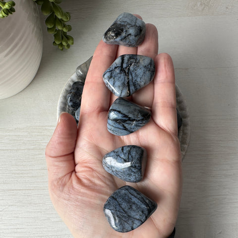 Blue Chert Tumble