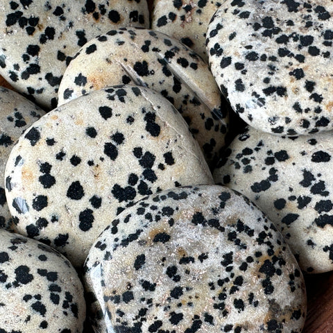 Dalmatian Jasper Worry Stone