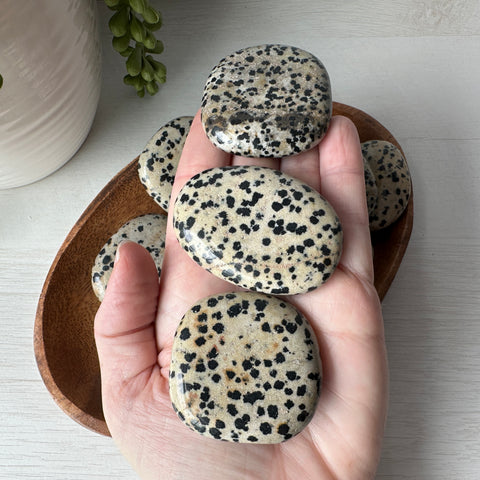 Dalmatian Jasper Worry Stone