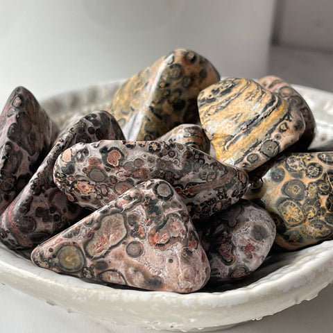 Leopardskin Jasper Tumbled Stone