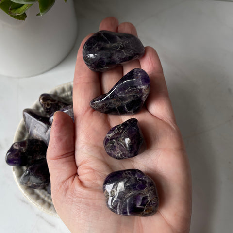 Chevron Amethyst Tumbled Stone - Dark