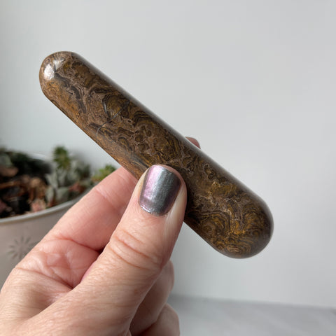 Baguette de stromatolite