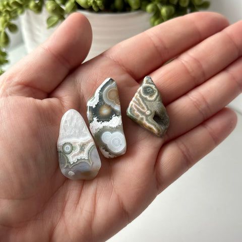 Extra Quality 8th Vein Ocean Jasper Tumbles - Choose Your Own Set of Three