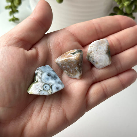 Extra Quality 8th Vein Ocean Jasper Tumbles - Choose Your Own Set of Three