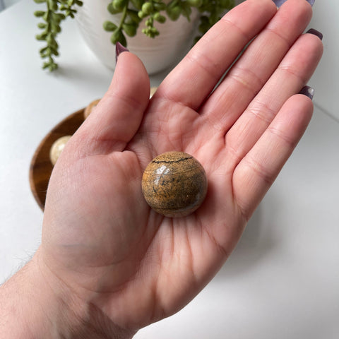 Picture Jasper Mini Sphere