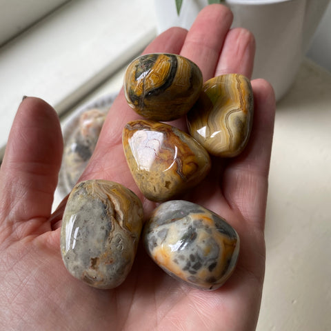 Crazy Lace Agate Tumbled Stone